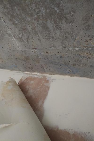 Should I plaster concrete walls and ceiling?