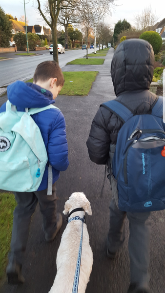 Mumsnet users share their favourite Hype backpack