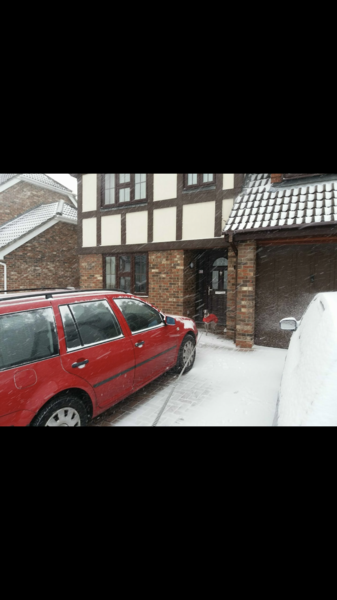 Any dogs out there loving the snow?