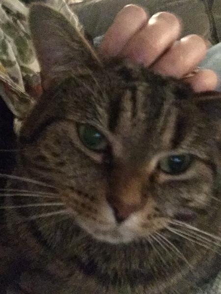 Money Saving Marches on....frugal living, friendly chat, no judgment