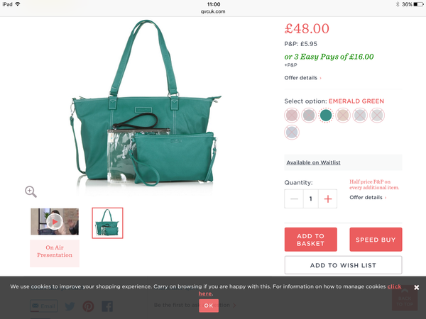 Looking for a large tote bag for travelling/flights with kids