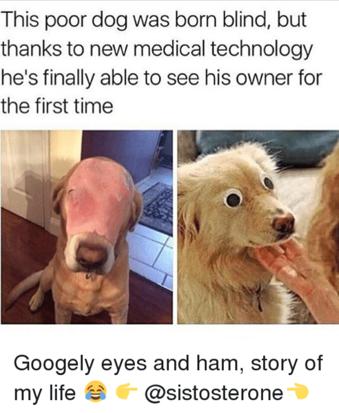 What Facebook memes annoy you?