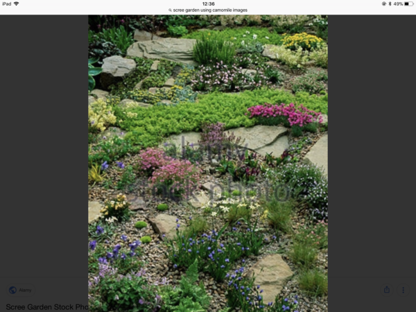 Grass over concrete base.  How?