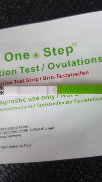 Cd8 expected completely neg opk.