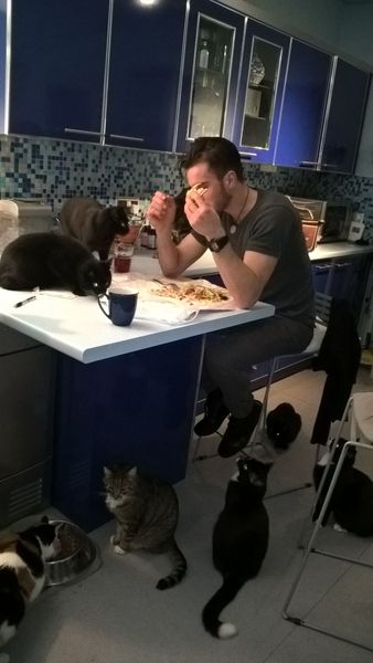 19 cats. Anyone else got this many?