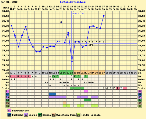 Help! When did I Ovulate?