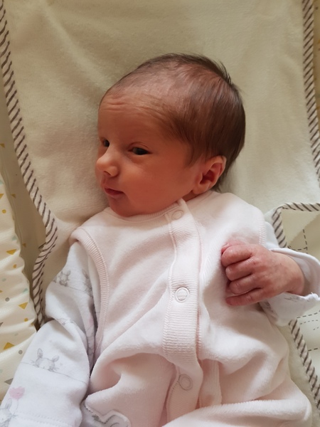 Pregnancies April 2018 - #3 the babies are nearly here !