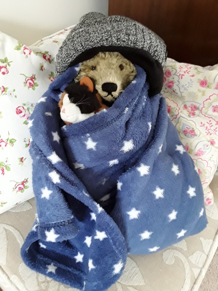 AIBU to worry about soft toys in this cold?