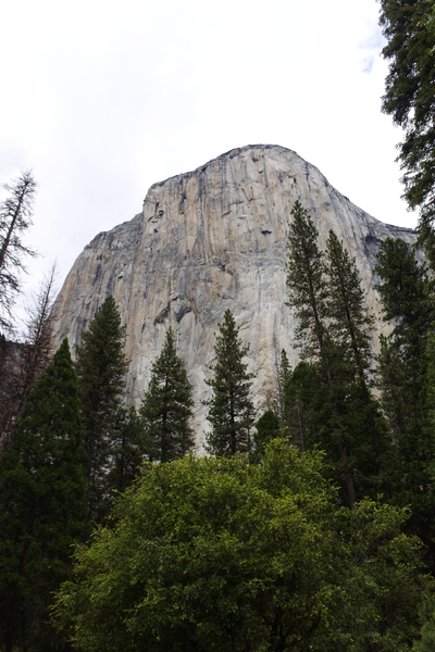 To bypass Yosemite during California road trip?