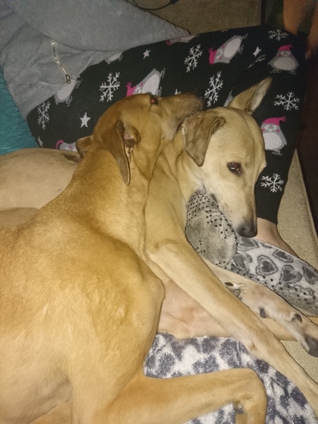 Coping with an empty nest