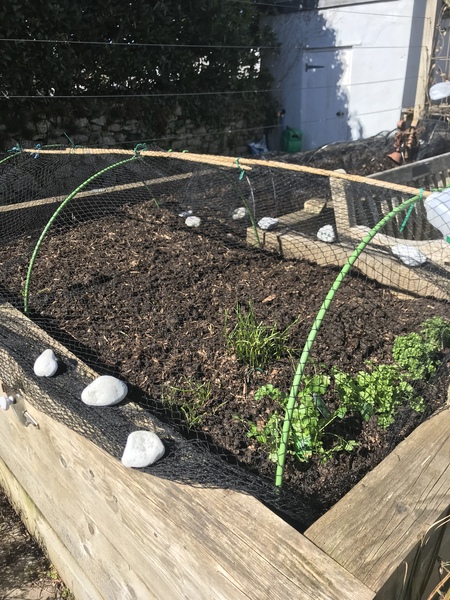 The first rule of potting shed is YOU ALWAYS talk about potting shed. The thread continues.