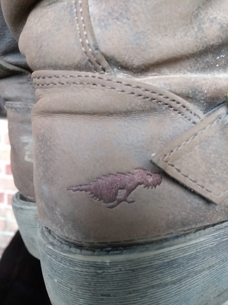 These boots ain't made for walking.....