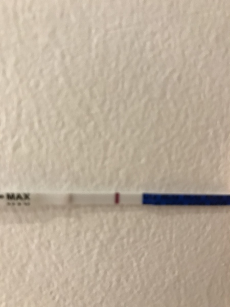 Can anyone else see this?