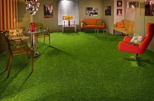 To consider indoor grass in living room?