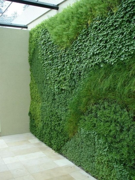 To consider indoor grass in living room?