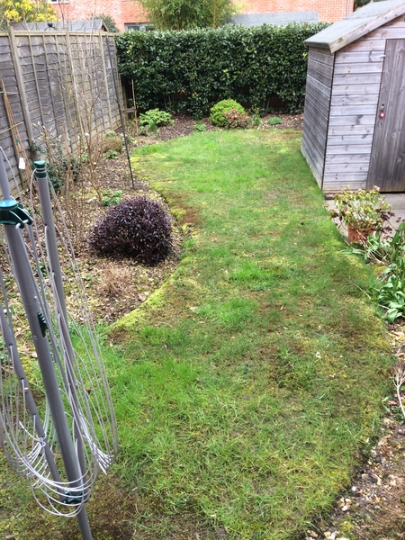 Lawn renovation help