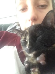 Cats and (lack of) personal space.