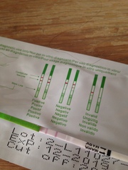 TTC after pregnancy loss - Thread 18: Christmas cake for Christmas babies