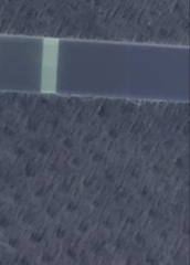 Faint line?! Help!?