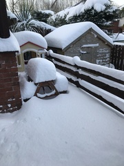 Snow - never seen anything like it