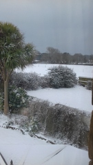 March Frugaleers continued. In which we report spends, share money saving advice, chat about pretty much everything and post pet pics.