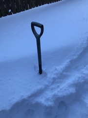 Snow - never seen anything like it