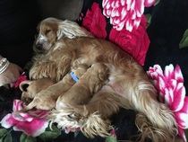 My girl has gone