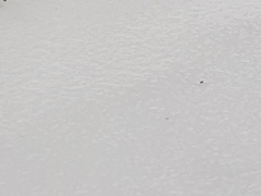 Snow watch part 4 - March is supposed to be spring right?