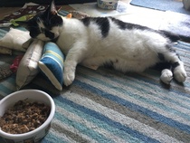 Harry's Results