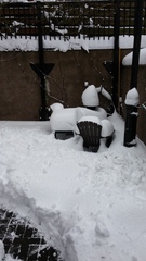 Snow - never seen anything like it
