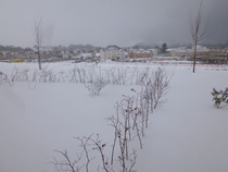 Snow watch part 4 - March is supposed to be spring right?