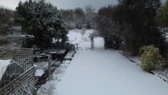 March Frugaleers continued. In which we report spends, share money saving advice, chat about pretty much everything and post pet pics.