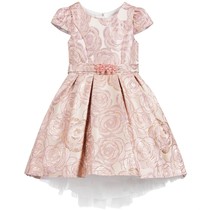 Which dress for DD?