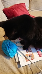 Woolly Hugs. Chernobyl 2018 is HERE!!!