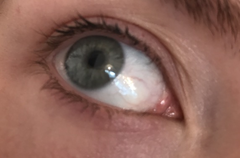 Is a a lash lift worth it?