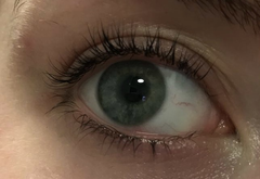 Is a a lash lift worth it?