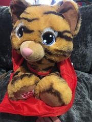 Find out what MNers and their DC’s got up to at the Build-A-Bear Workshop! NOW CLOSED!