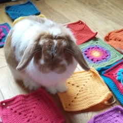 Woolly Hugs. Chernobyl 2018 is HERE!!!