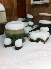 Snow - never seen anything like it