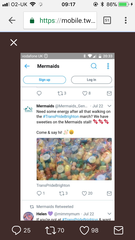 Woman questioned under caution and banned from leaving the country for criticising Mermaids