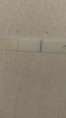 Faint positive or Evap?