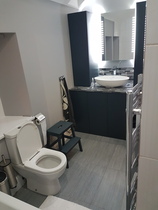 Tricky bathroom/futility room