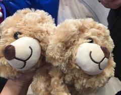 Find out what MNers and their DC’s got up to at the Build-A-Bear Workshop! NOW CLOSED!