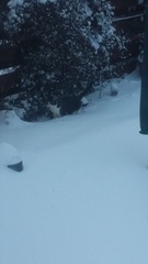 To not let my stupid cats freeze to death (lighthearted)