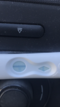 Pregnancy Test