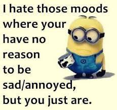 What Facebook memes annoy you?