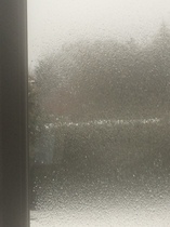 Snow watch part 4 - March is supposed to be spring right?