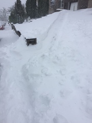 To tell everyone to calm the fuck down?