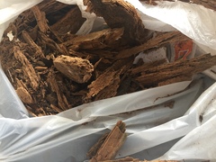 Rot problem - skirting board