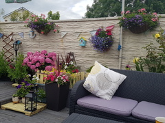 Please show me your small terrace house garden